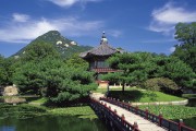 世界举重康复在线互动课堂学员成果展示周启动，世界举重比赛