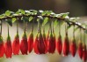 世界保龄球夜赛：城市联赛活跃夜间经济氛围，世界保龄球联合会