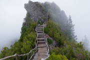 世界卡丁车锦标赛：青年车手超车夺冠惊艳全场，卡丁车世界冠军