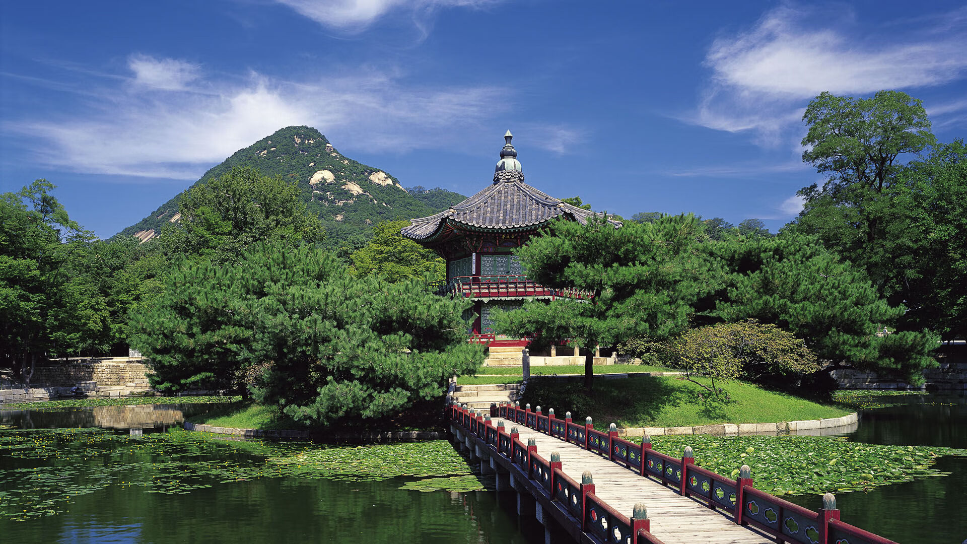 世界举重康复在线互动课堂学员成果展示周启动,世界举重比赛